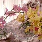 Decoração com orquídeas