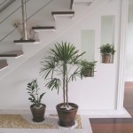 Decoração de escadas com plantas