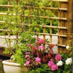 Como decorar jardim com bambu