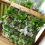 Jardins verticais com paletes