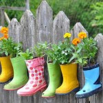 Jardinagem e decoração e reciclagem
