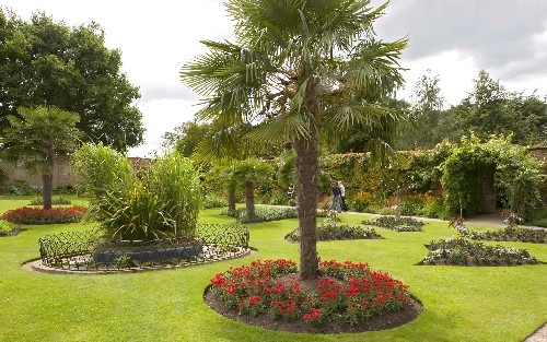 jardins decorados com palmeiras