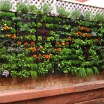 jardins verticais