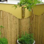 Como decorar jardim com bambu