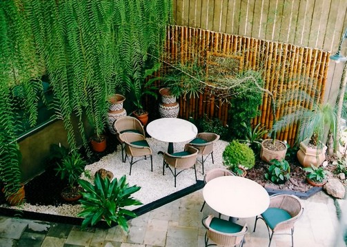 Como decorar jardim com bambu