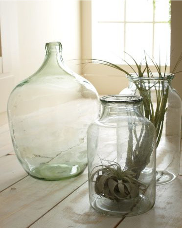 Vasos de vidro para decoração