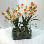 vasos-vidro-4